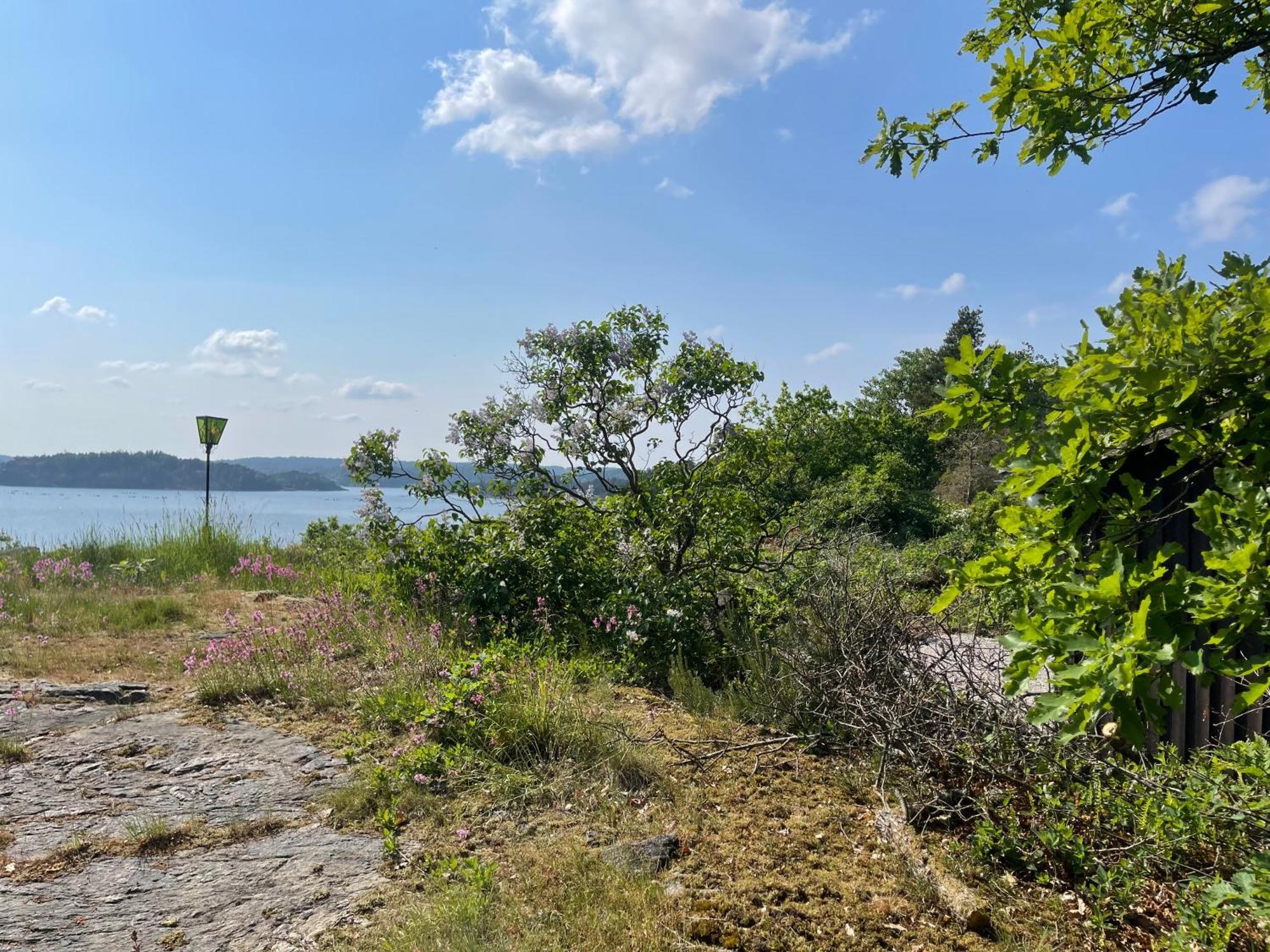 Seaside Dream With Jetty & Guest Cottage Ljungskile Exterior photo